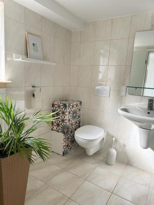Business Apartment Naehe Bonn Koenigswinter Luaran gambar