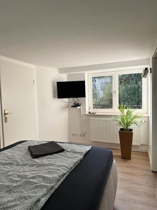 Business Apartment Naehe Bonn Koenigswinter Luaran gambar